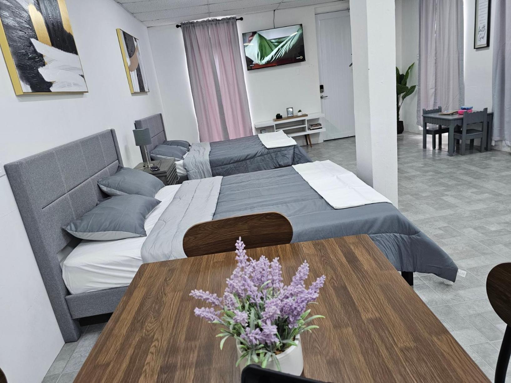 Salmos 23 Acogedor Apartamento Estudio Ceiba Ngoại thất bức ảnh